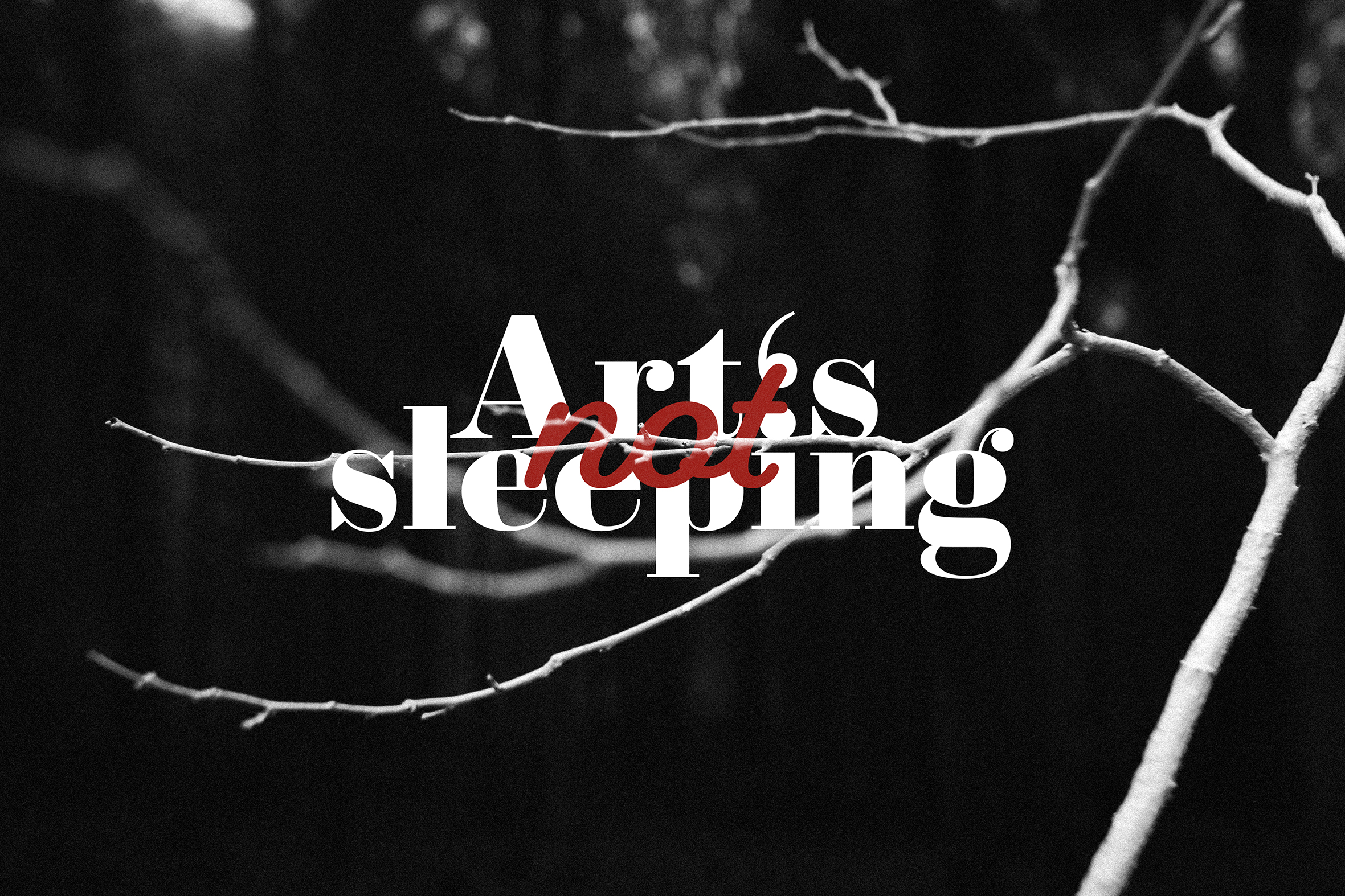 Alžběta Huclová, Art is not sleeping, 2020