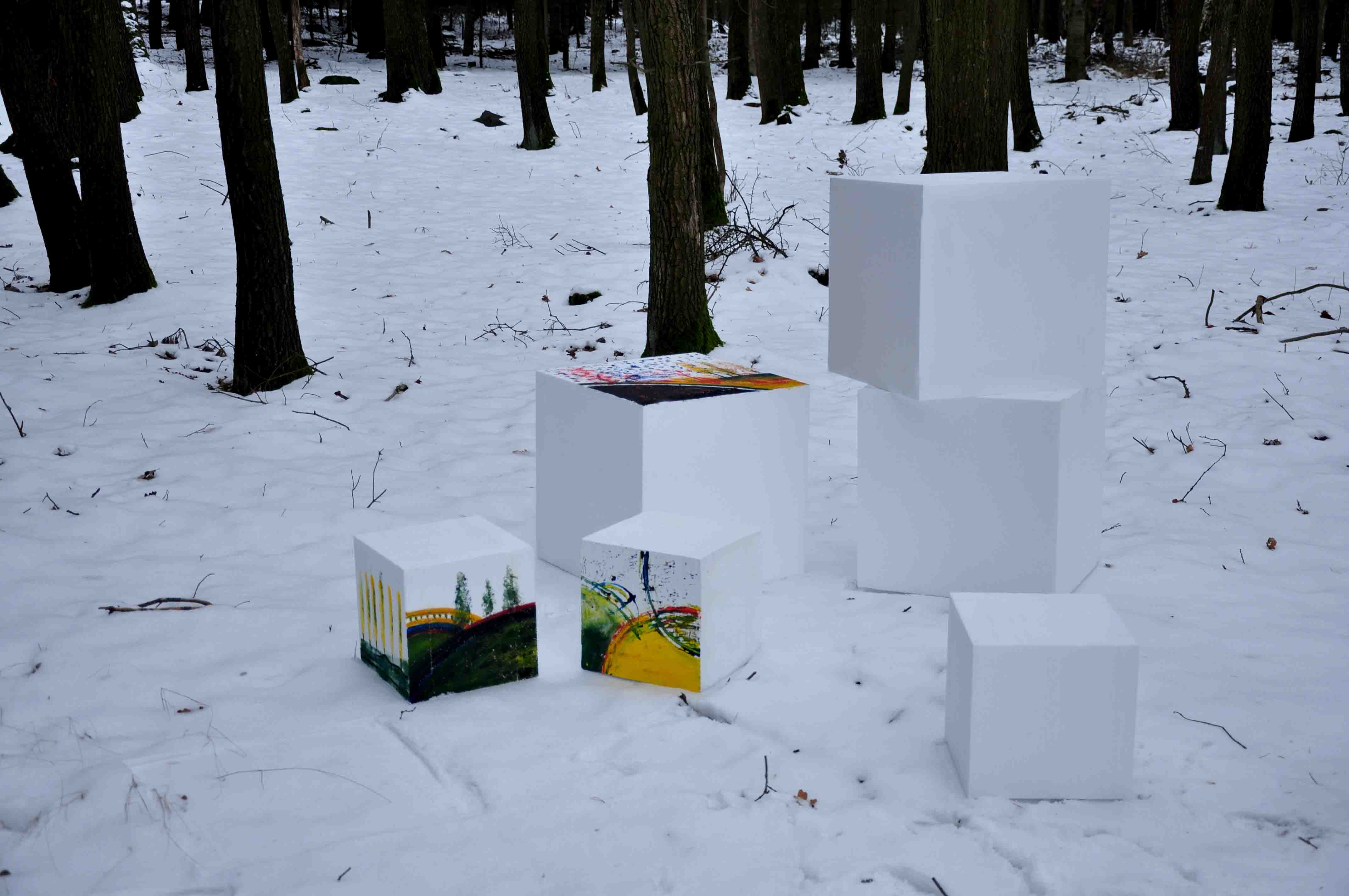 Alena Hajžmanová, Kostky v lese, 2020